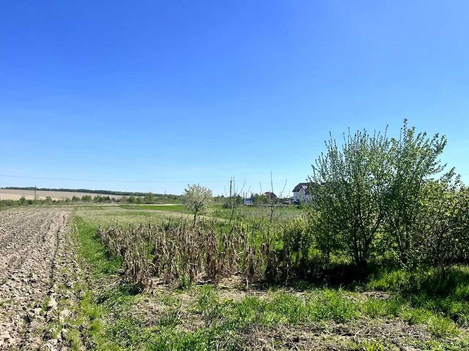 Продаж земельної ділянки під забудову в с. Басівка (Львівська область)