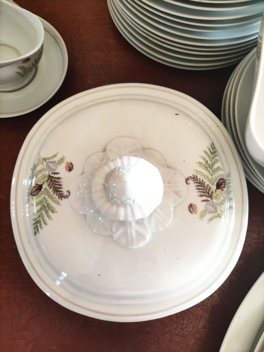 Conjunto porcelana vista alegre