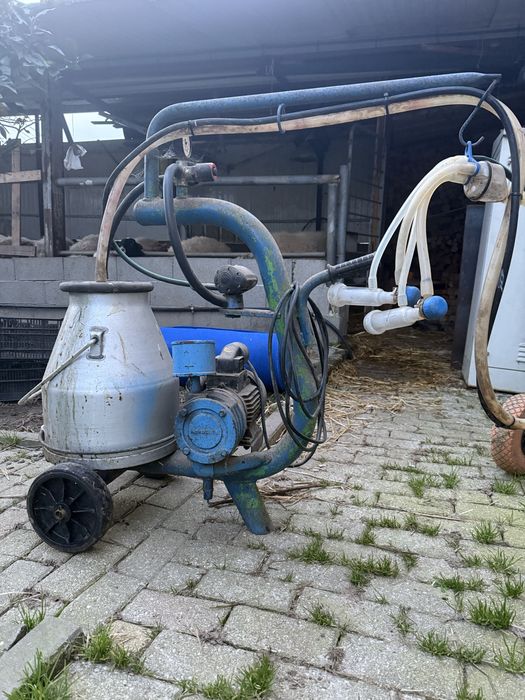 Carrinho de ordenha cabras / ovelhas