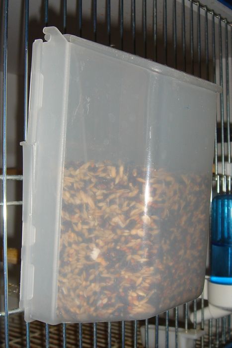 Автоматическая кормушка для мелкой птицы: 180 грн. - Зоотовари ...