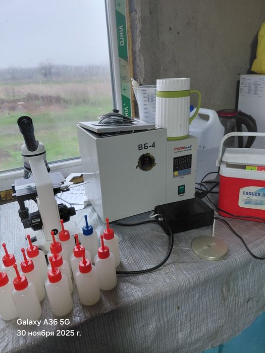 Сім'я кнура,спермодози