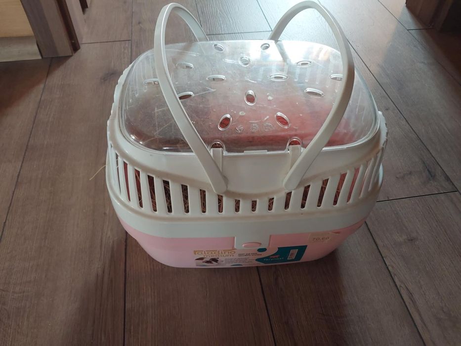 Transporter  dla świnki morskie