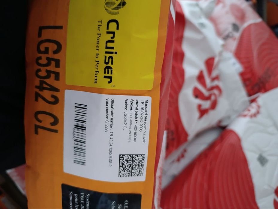 Продам насіння соняшнику Лімагрейн 5542 КЛ.Limagrain 5542 CL TUR