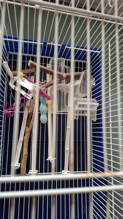 Gaiola pássaros em metal