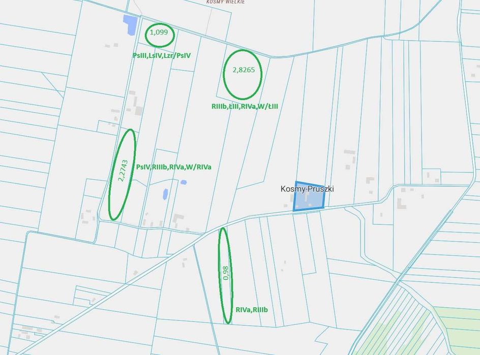 Działki rolne (Sońsk/Ciechanów)