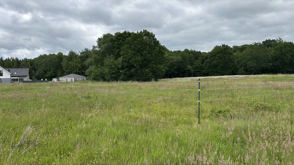 Gałęzinowo !!! Działka 1204 m² z warunkami zabudowy. Bez pośrednika - Widok 4