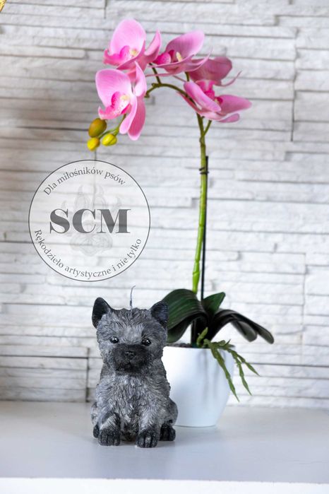 Świeca sojowa piesek Shi Tzu West Cairn Terrier York