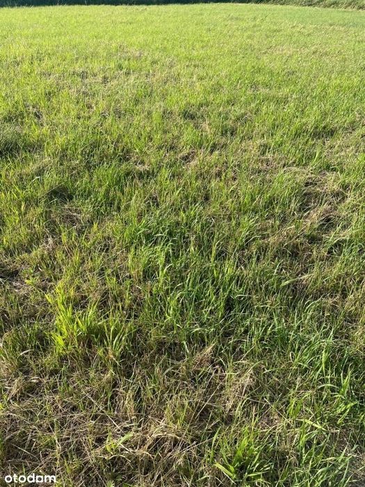 Jarosławiec Nowe Działki od 300 do 5000m2