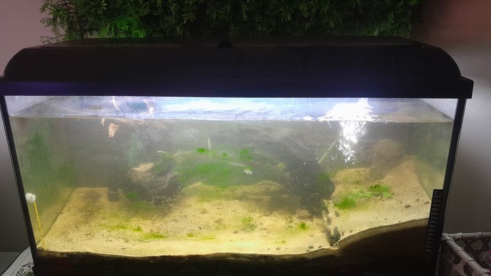 Aquário 79x49x21 + 2 motores + acessórios