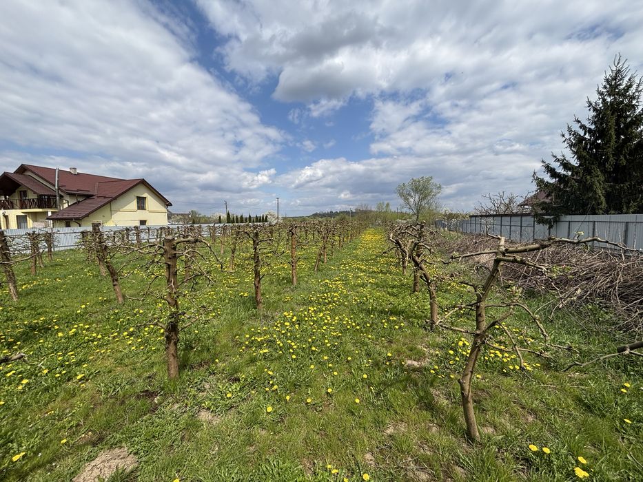 Продаж Ділянка 19 сот для будівництва. Побережжя. Сад. Асфальт. Школа