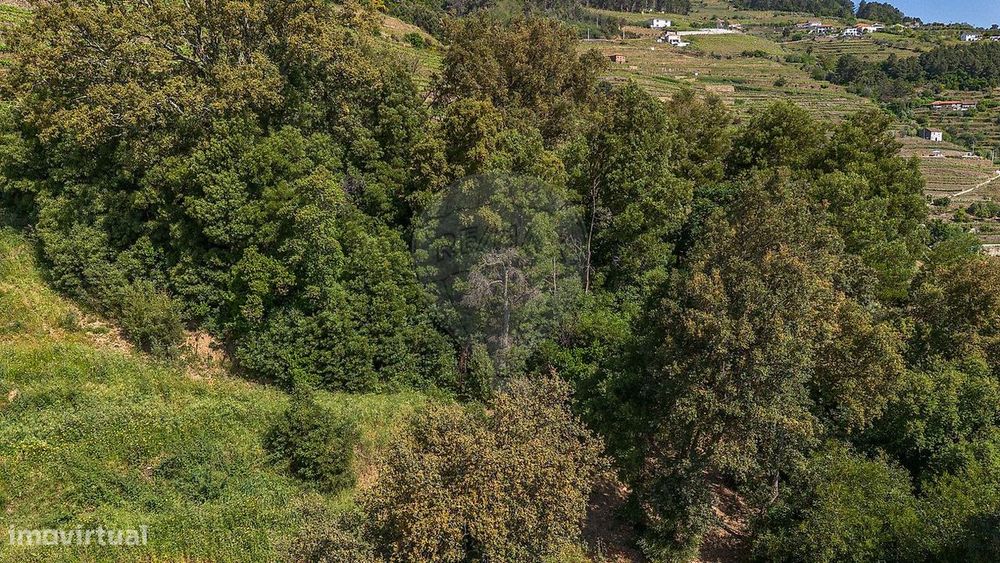 Terreno  para venda