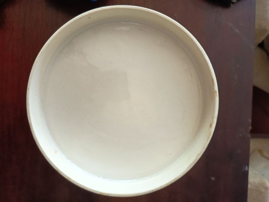 Pote Porcelana Estilo Dinastia Ming