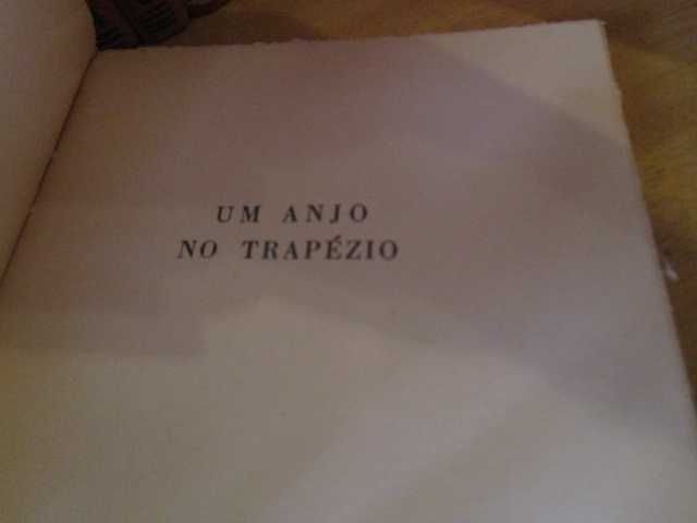 Manuel da Fonseca um anjo no trapézio