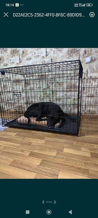 Клітки для собак та котів