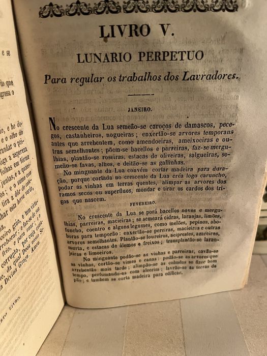 Thesouro de Lavradores (1863) – Manual agrícola e veterinário raro