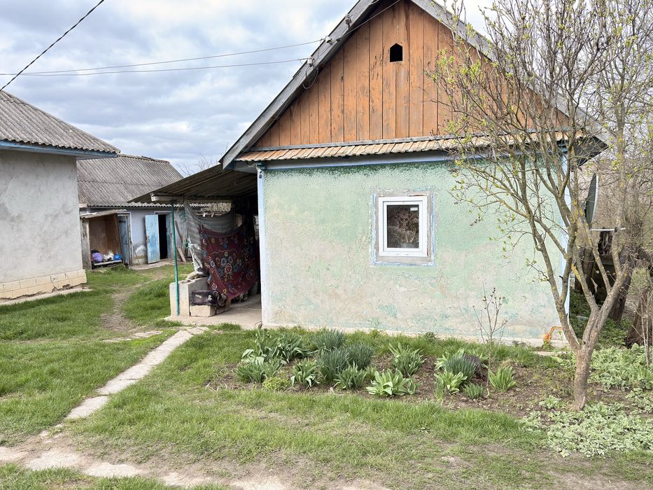Продається будинок в Чернівецькій області,Дністровський район,с.Шебутинці