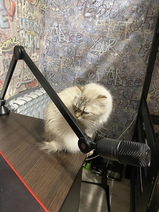 Мікрофон HyperX SoloCast ( з пантографом)