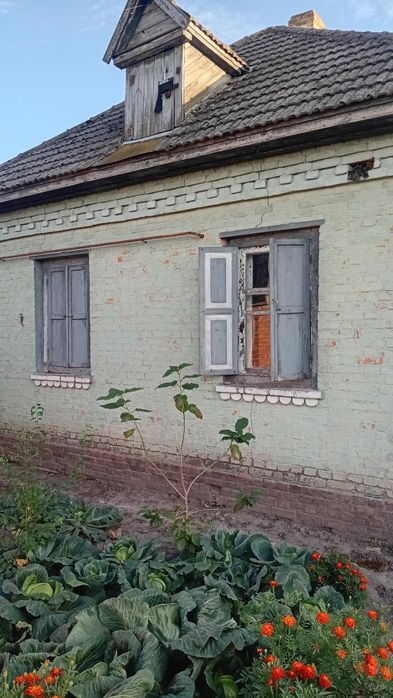 Продається будинок  70 квадратів від власника, район Плискунівка