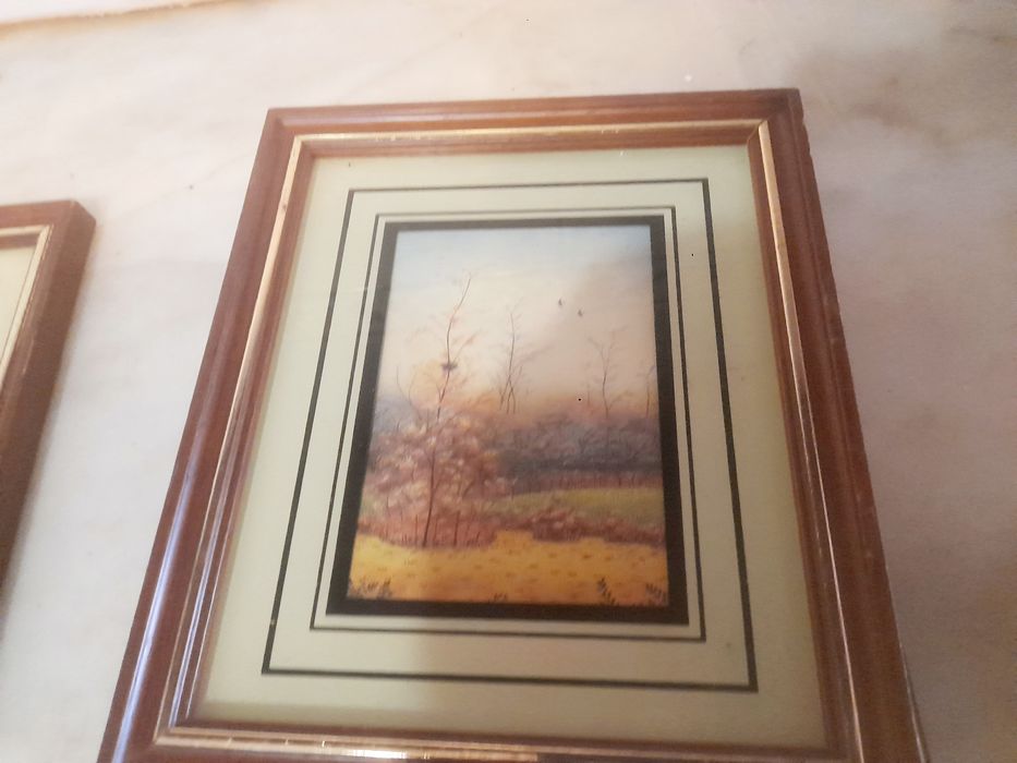 Conjunto de 6 Quadros Decorativos