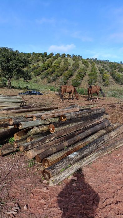 Barrotes grandes baratos 3 metros
