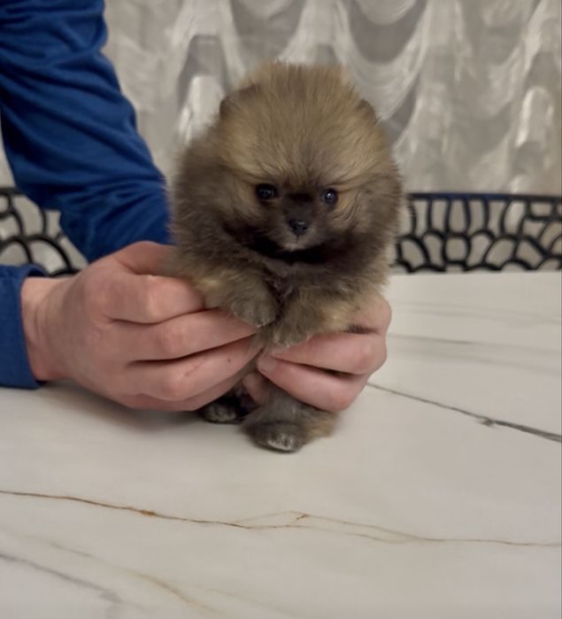 Супер-міні хлопчик КСУ