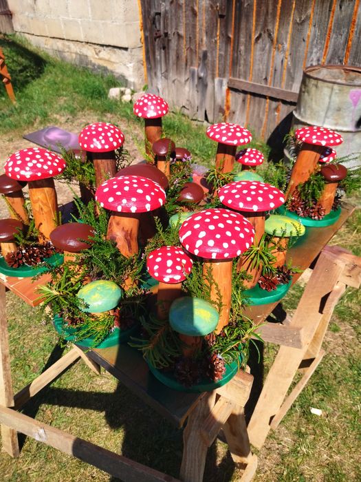 Sprzedam grzyby ozdobne