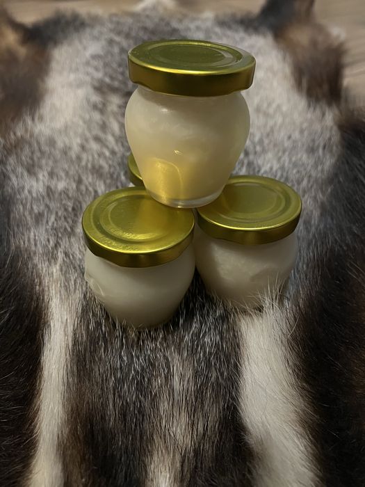 Sadło z borsuka naturalny lek