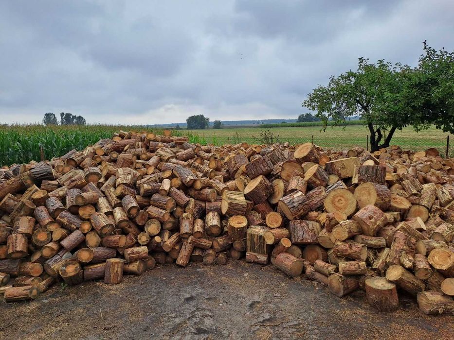 Drewno opalowe sosna gruba