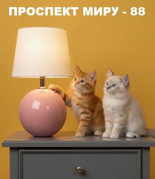 1 кімн Проспект Миру 88 Автовокзал ЖД вокзал Академія