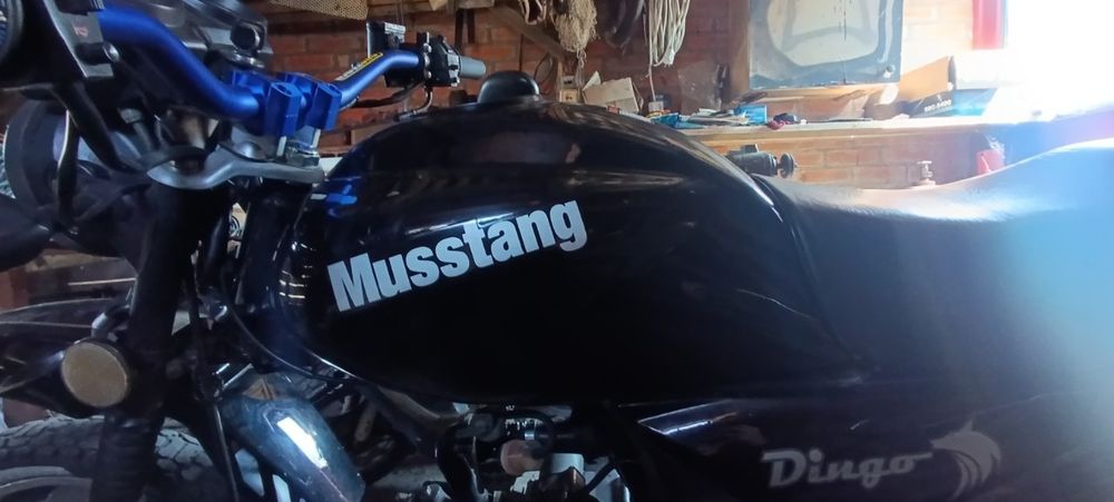 mustang dingo 125