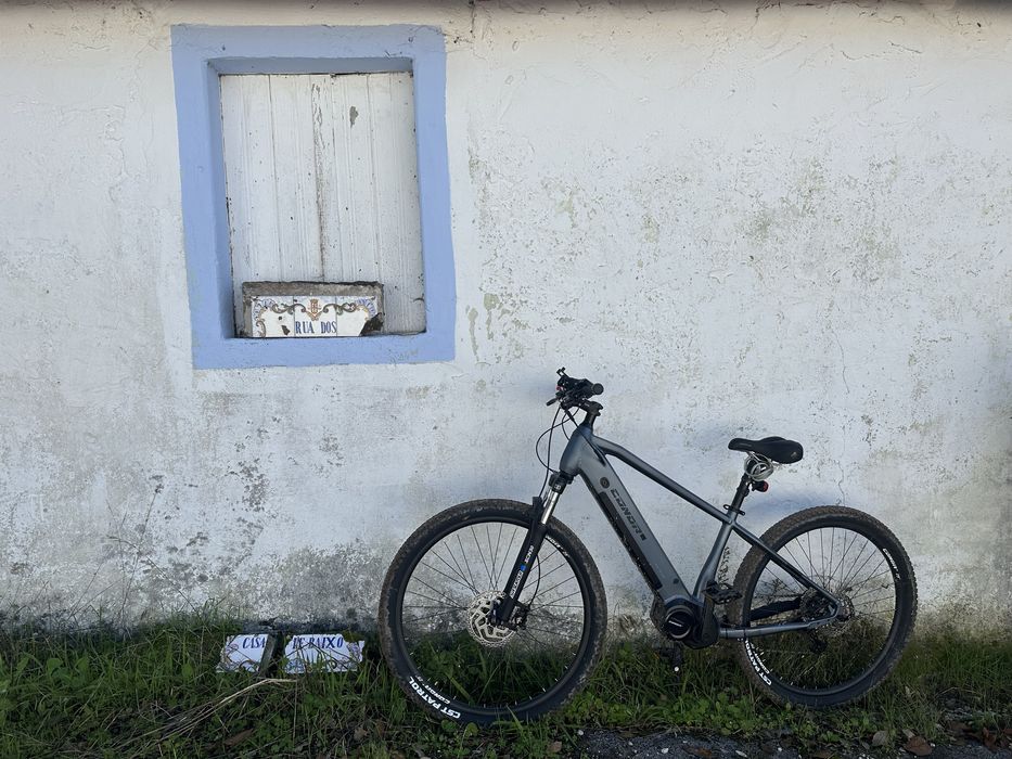 Conor Borneo electrica (M)