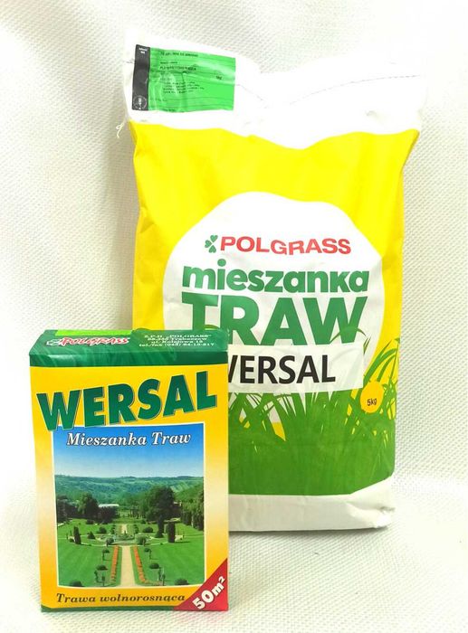 NASIONA TRAW Trawa trawnik  różne rodzaje i opakowania
