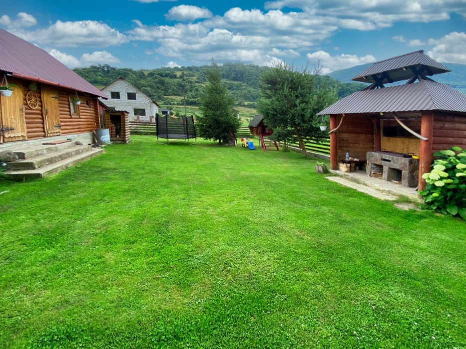 Будинок в Карпатах