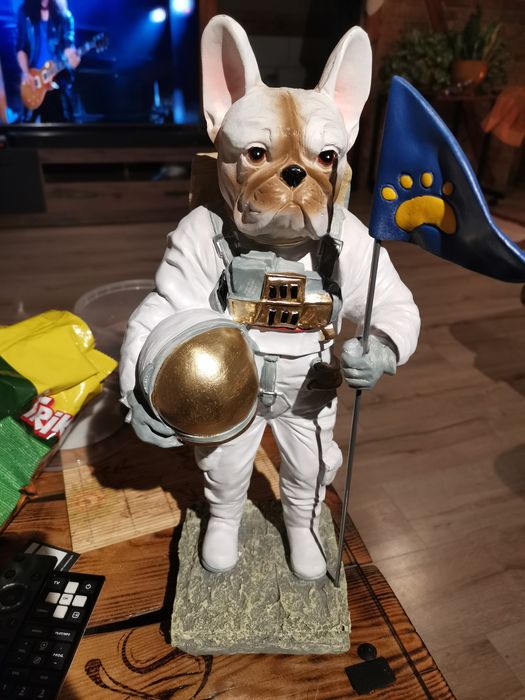 Buldog francuski dekoracja