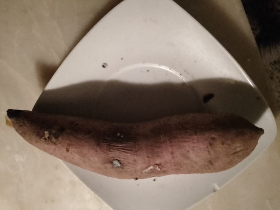 O culto do espirito santo-Antonieta Costa-1eEs9E-Batata doce3E Desde2E