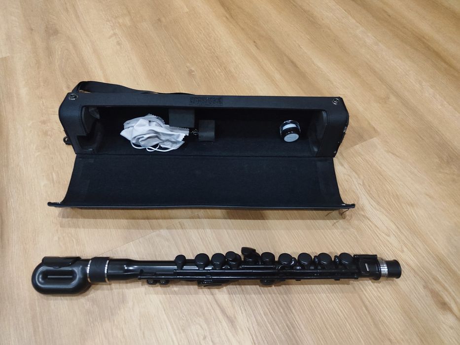 Flauta para iniciados