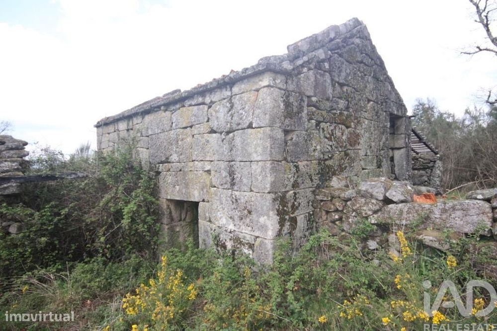 Casa rústica em Cambra e Carvalhal de Vermilhas de 3971 m2