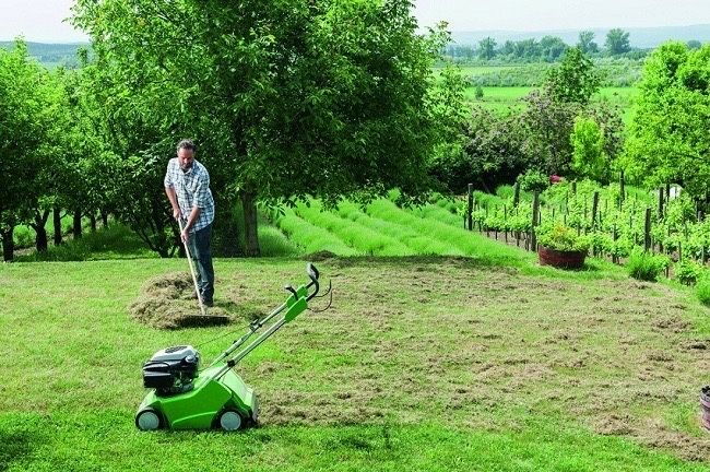 Комплексний догляд за ділянкою, садом, газоном та рослинами