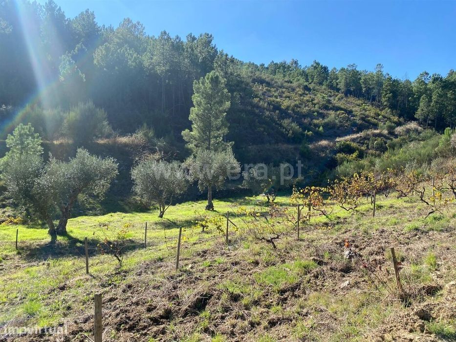 Quintinha / Fundão, Enxabarda