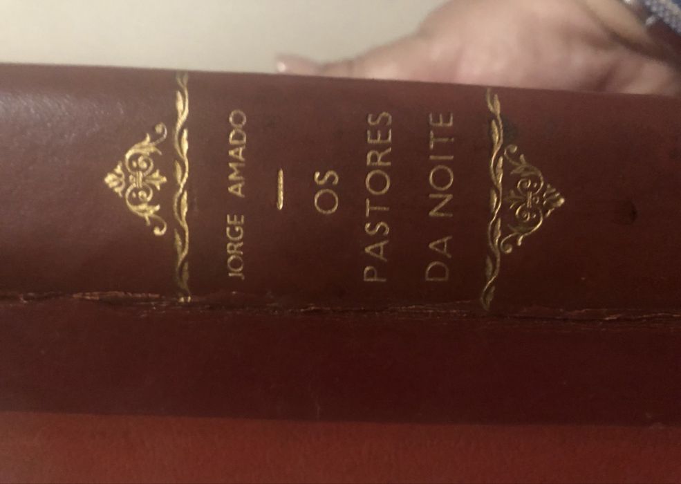 Os pastores da noite de Jorge Amado de 1964