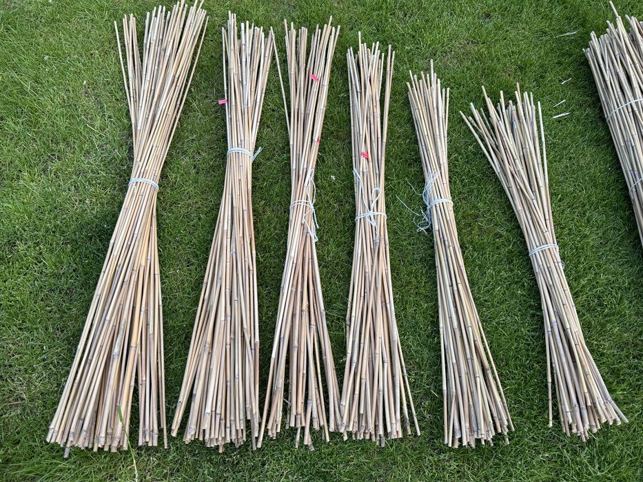 Zestaw 50 szt 70 cm ppdpory paliki tyczki DIY