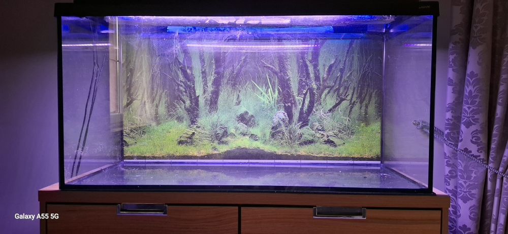 Akwarium   200 l