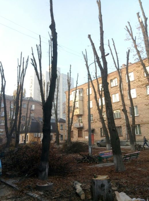 Обрезка деревьев,сада, спил деревьев,расчистка участка,работаем с ОСББ