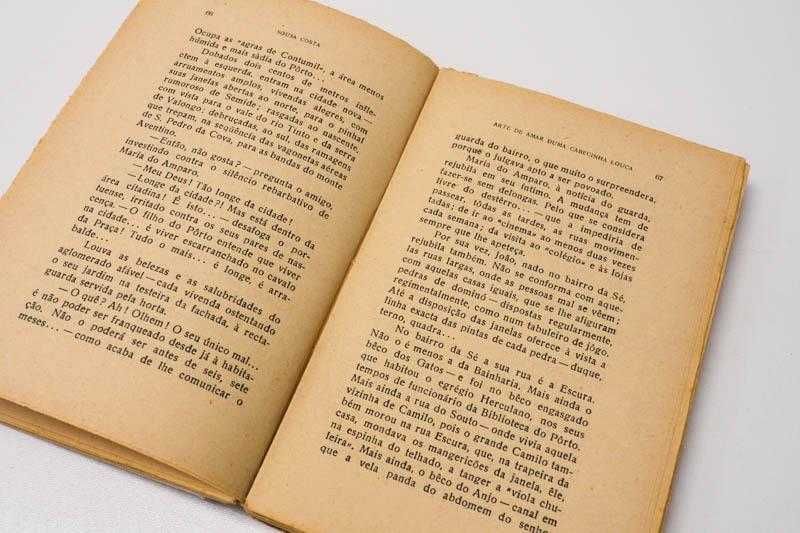 Arte de amar duma cabecinha louca, de Sousa Costa