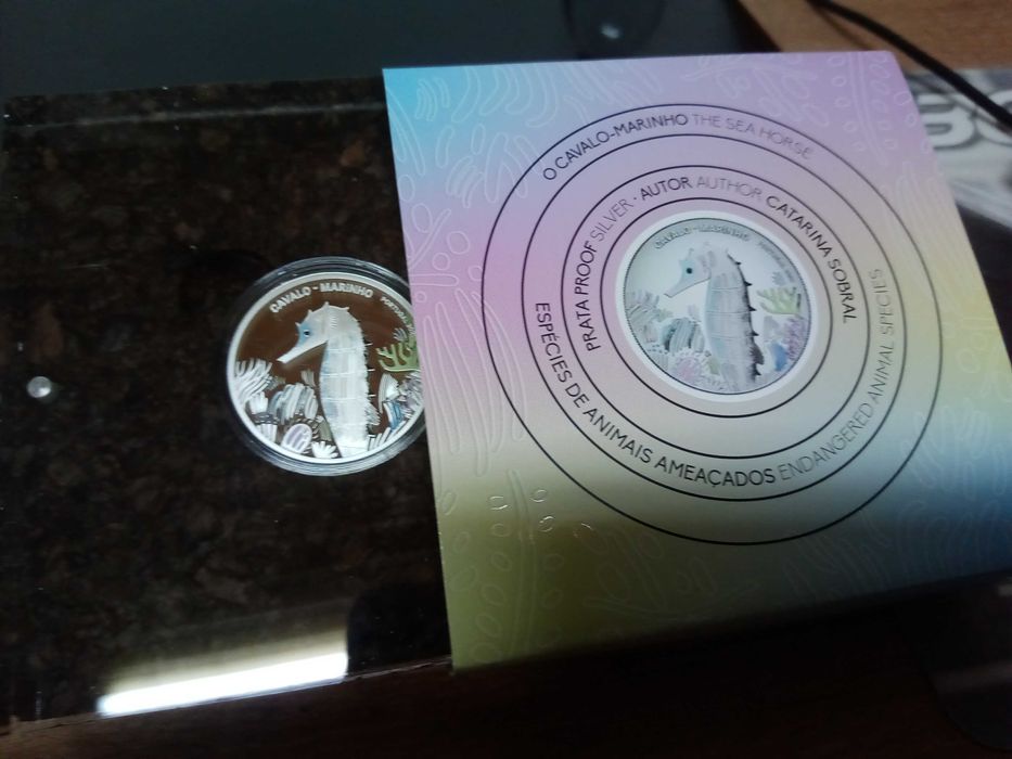 Proof do Cavalo Marinho