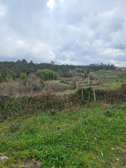 Quinta Agrícola a 5 minutos da A25
