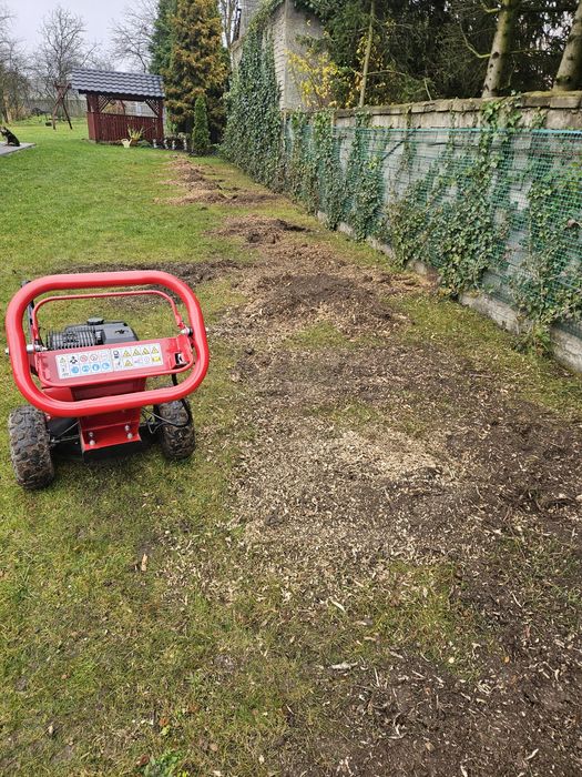 Usługi usuwania pni drzew