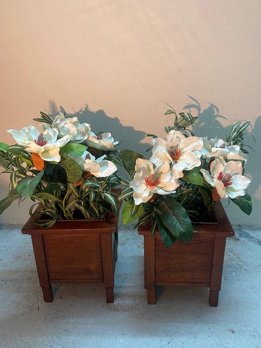 Vasos de plantas de entrada