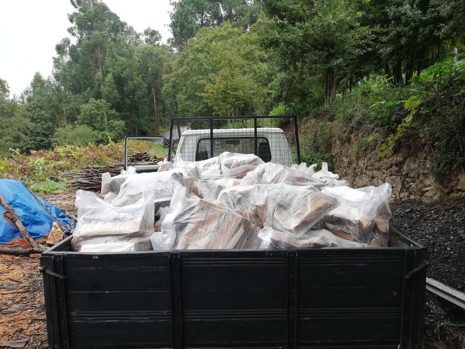 Lenha em saco para Salamandras, Recuperador ou fogão de lenha
