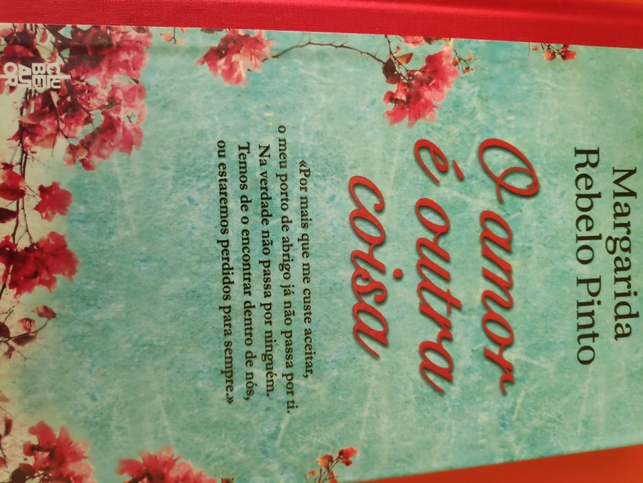 Livro "o amor é outra coisa"